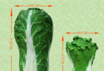 白菜雕塑廠家，仿真白菜雕塑，玻璃鋼蔬菜彩繪雕塑