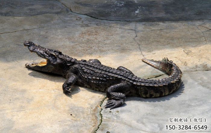 仿古鱷魚雕塑 庭院彩繪雕塑 田間小品