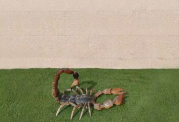 商業(yè)街蝎子雕塑 售樓處動(dòng)物雕塑 仿真擺件