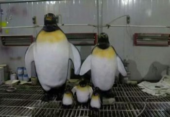 風(fēng)景區(qū)企鵝雕塑 售樓處廣場雕塑 仿古擺件