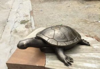 城市海龜雕塑廠家 風景區彩繪雕塑 抽象擺件