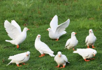 鴿子雕塑，鍍銅鳥類雕塑，鏡面工藝