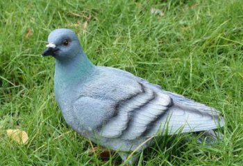 街道鴿子雕塑，戶外鳥類雕塑，彩繪效果